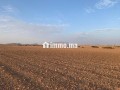 Vente Terrain nu de 76374 m² à Marrakech - miniature 2
