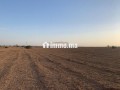 Vente Terrain nu de 76374 m² à Marrakech - miniature 3