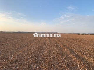 Vente Terrain nu de 76374 m² à Marrakech - Terrain à vendre - Marrakech