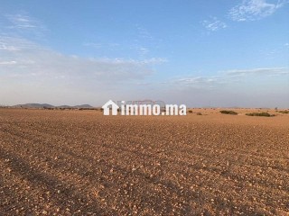 Vente Terrain nu de 76374 m² à Marrakech - Terrain à vendre - Marrakech