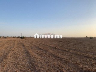 Vente Terrain nu de 76374 m² à Marrakech - Terrain à vendre - Marrakech
