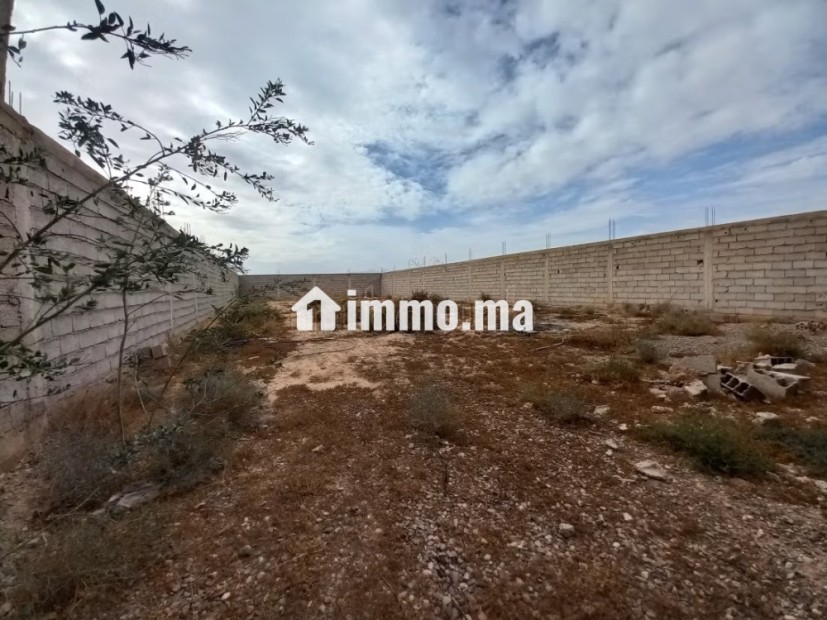 Local commercial à l'achat à Ouled Teïma. Surface de 908 m² - Vente Immobilier - Autre - photo 4
