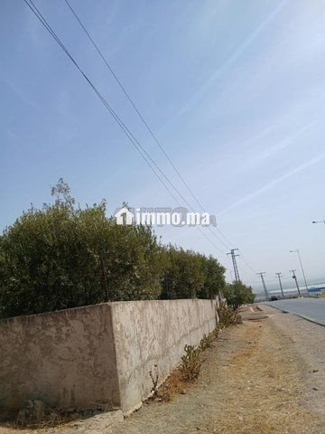 Ferme sur la route principale Moulay Yacoub - Vente Immobilier - Fes - photo 2