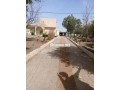 Ferme sur la route principale Moulay Yacoub - miniature 1