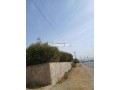 Ferme sur la route principale Moulay Yacoub - miniature 2