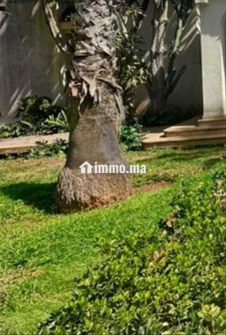 Superbe villa à OLM souissi - Vente Immobilier - Rabat - photo 1