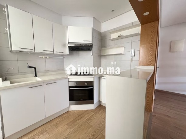 bel-appartement-ensoleille-en-location-vide-big-5