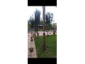 Villa titrée de 1000 M² à 20 minutes de Marrakech - miniature 7