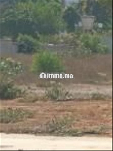 Terrain titré 513m² Les orangers - Vente Immobilier - Rabat - photo 1