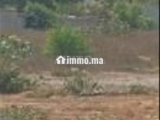 Terrain titré 513m² Les orangers - Terrain à vendre - Rabat