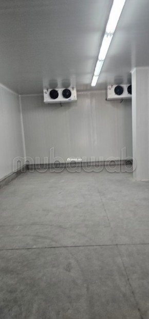 Frigo industriel à louer à Had Soualem - Location Immobilier - Autre - photo 2