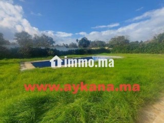 Vente Villa Temara Harhoura - Villa à vendre - Temara