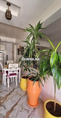 Appartement Moderne - Location Vacances - Essaouira - photo 8