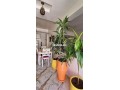 Appartement Moderne - miniature 8