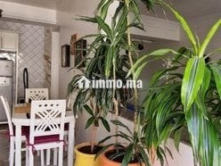 Appartement Moderne - Appartement Location Vacances - Essaouira