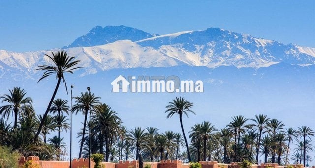 Terrain titré de 2 hectares GH2 - Vente Immobilier - Marrakech - photo 5