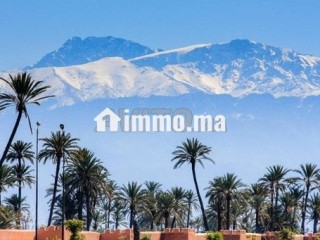 Terrain titré de 2 hectares GH2 - Terrain à vendre - Marrakech
