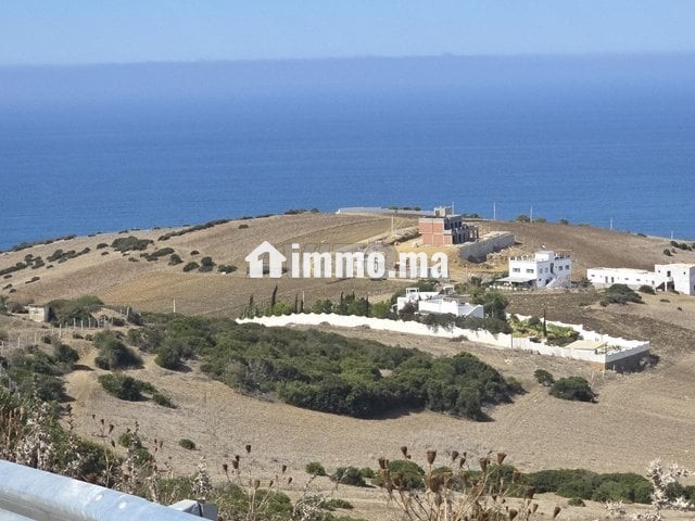 Terrain à vendre titré 3500m - Vente Immobilier - Asilah - photo 1