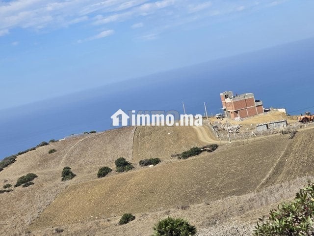 Terrain à vendre titré 3500m - Vente Immobilier - Asilah - photo 2