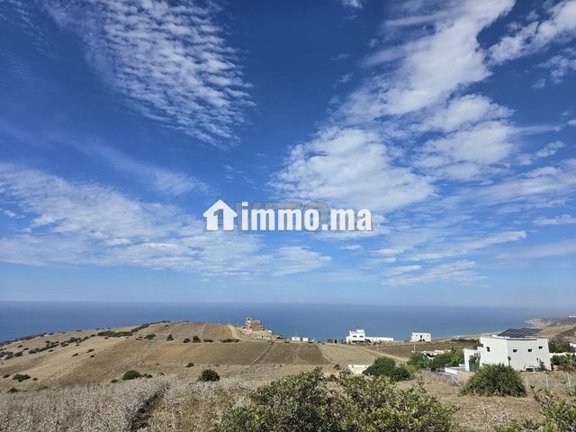 Terrain à vendre titré 3500m - Vente Immobilier - Asilah - photo 3