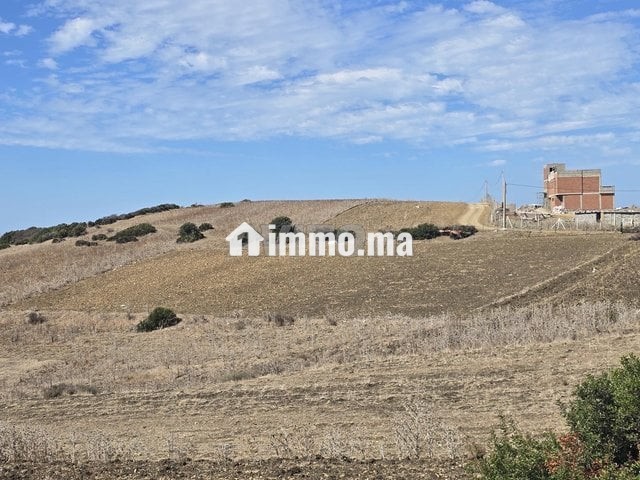Terrain à vendre titré 3500m - Vente Immobilier - Asilah - photo 5