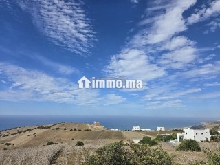 Terrain à vendre titré 3500m - Terrain à vendre - Asilah