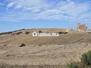 Terrain à vendre titré 3500m - Terrain à vendre - Asilah