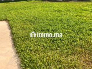 Vente villa de 700 m2 de terrain à 8 minutes du Morocco Mall 4 chambres très spacieuses Cheminée et salon très lumineux - Villa à vendre - Casablanca