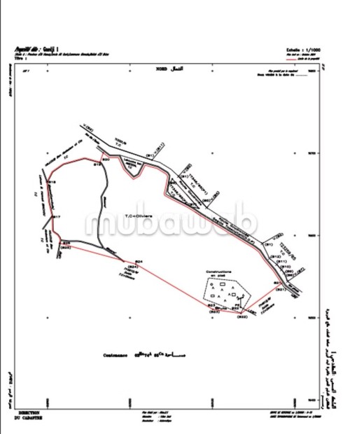 Route d'Ourika km 25 Terrain - Vente Immobilier - Marrakech - photo 1