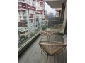 Casablanca Finance City Magnifique Appartement 2 chambres meublé avec terasse au 5 eme etage avec piscine - miniature 1