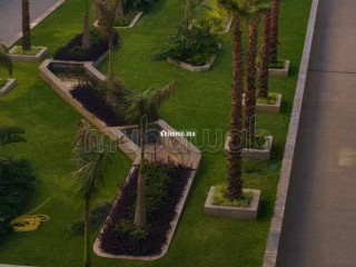 Studio neuf meublé de luxe à Californie - Appartement à louer - Casablanca
