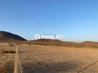 Terrain 17km Marrakech 4500m2 - Terrain à vendre - Marrakech