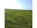 Terrain Agricole de 5,5 hectares Á El Mansouria - miniature 2