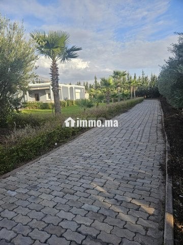 Vente ferme bien aménagée cadre paisible - Vente Immobilier - Settat - photo 2
