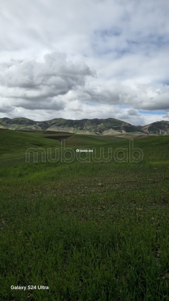 Terrain agricole de 560 hectares à Meknès - Vente Immobilier - Autre - photo 1
