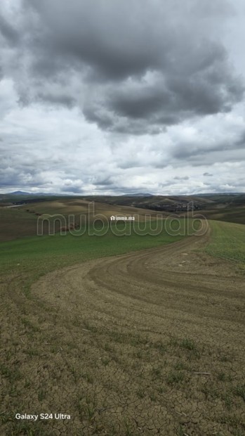 Terrain agricole de 560 hectares à Meknès - Vente Immobilier - Autre - photo 6