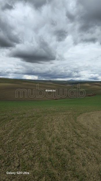 Terrain agricole de 560 hectares à Meknès - Vente Immobilier - Autre - photo 7