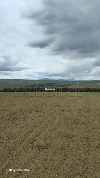 Terrain agricole de 560 hectares à Meknès - Vente Immobilier - Autre - photo 8