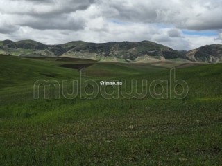 Terrain agricole de 560 hectares à Meknès - Terrain à vendre - Autre