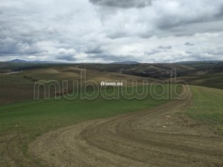 Terrain agricole de 560 hectares à Meknès - Terrain à vendre - Autre
