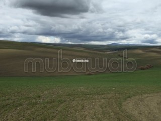 Terrain agricole de 560 hectares à Meknès - Terrain à vendre - Autre