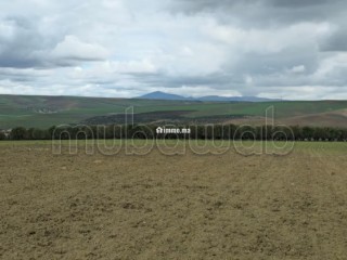 Terrain agricole de 560 hectares à Meknès - Terrain à vendre - Autre