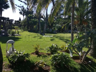 Une ferme de luxe à vendre de 22500m Bouznika - Terrain à vendre - Bouznika