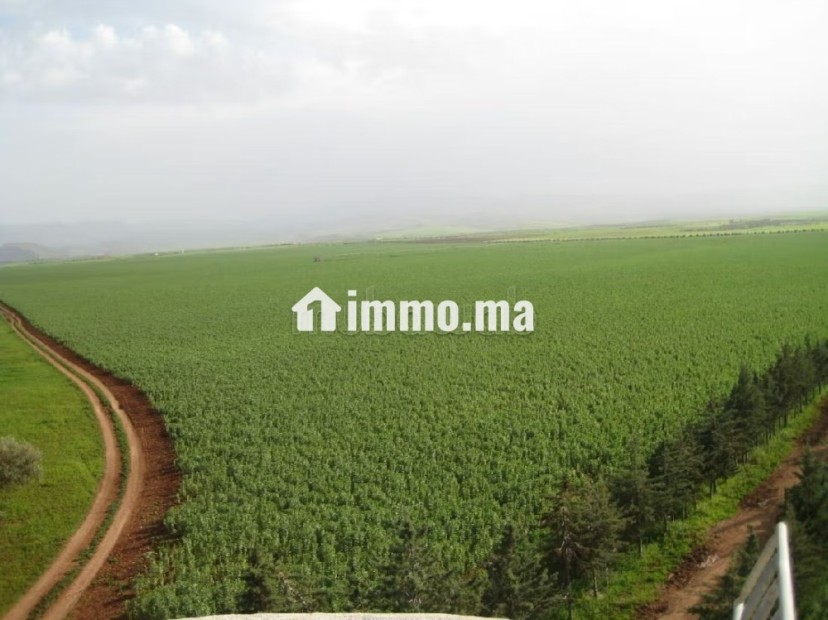Une Ferme de 700 hectares à vendre - Vente Immobilier - Autre - photo 1