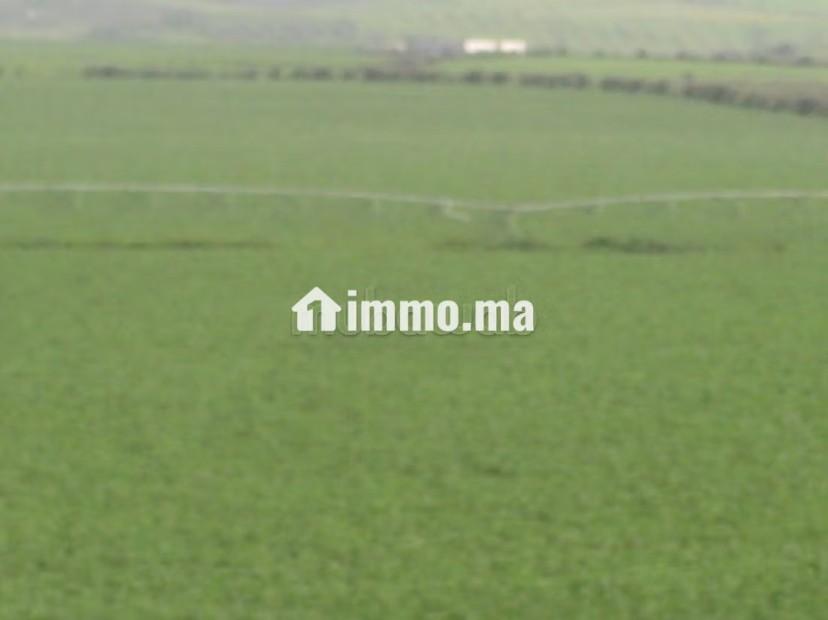 Une Ferme de 700 hectares à vendre - Vente Immobilier - Autre - photo 5