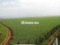 Une Ferme de 700 hectares à vendre - miniature 1