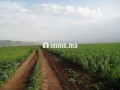 Une Ferme de 700 hectares à vendre - miniature 2