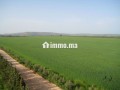 Une Ferme de 700 hectares à vendre - miniature 4