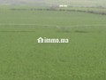 Une Ferme de 700 hectares à vendre - miniature 5