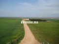 Une Ferme de 700 hectares à vendre - miniature 6